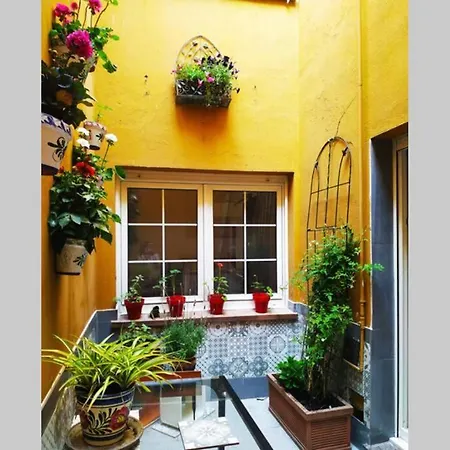 En Cimadevilla Junto Al Puerto Deportivo