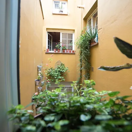 En Cimadevilla Junto Al Puerto Deportivo * Gijón